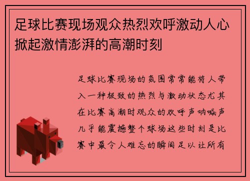 足球比赛现场观众热烈欢呼激动人心掀起激情澎湃的高潮时刻